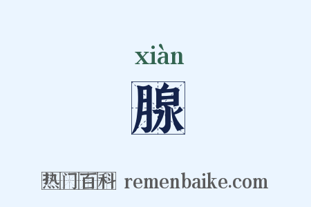 腺是什么意思的图片